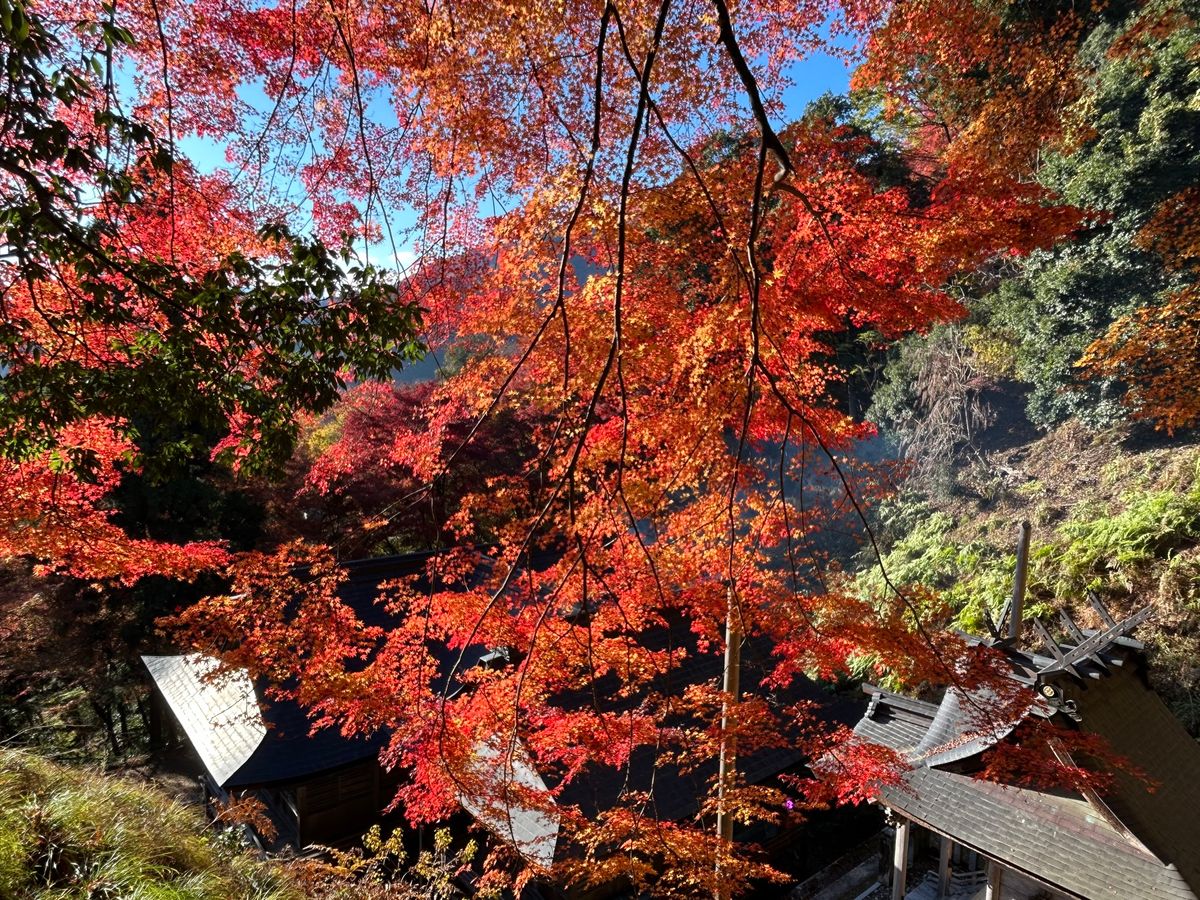 諏訪神社、智頭