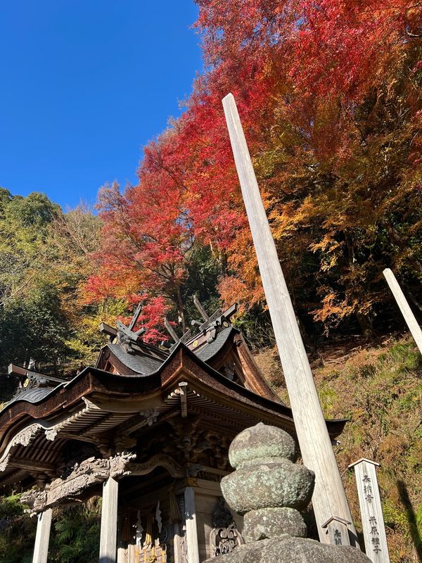 日本・兵庫県「紅葉、そして」の写真：諏訪神社、智頭