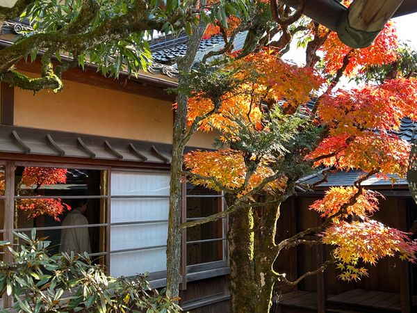 日本・兵庫県「紅葉、そして」の写真：石谷家