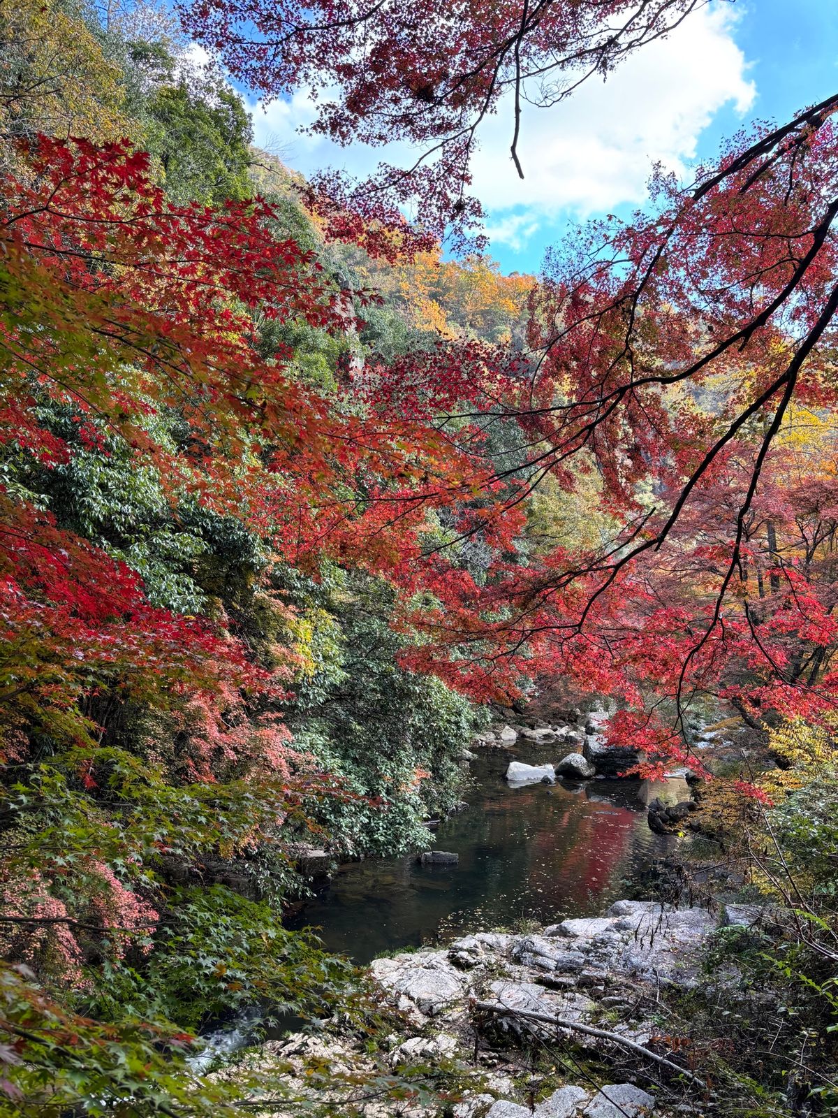 豪渓
鬼ノ城
造山古墳