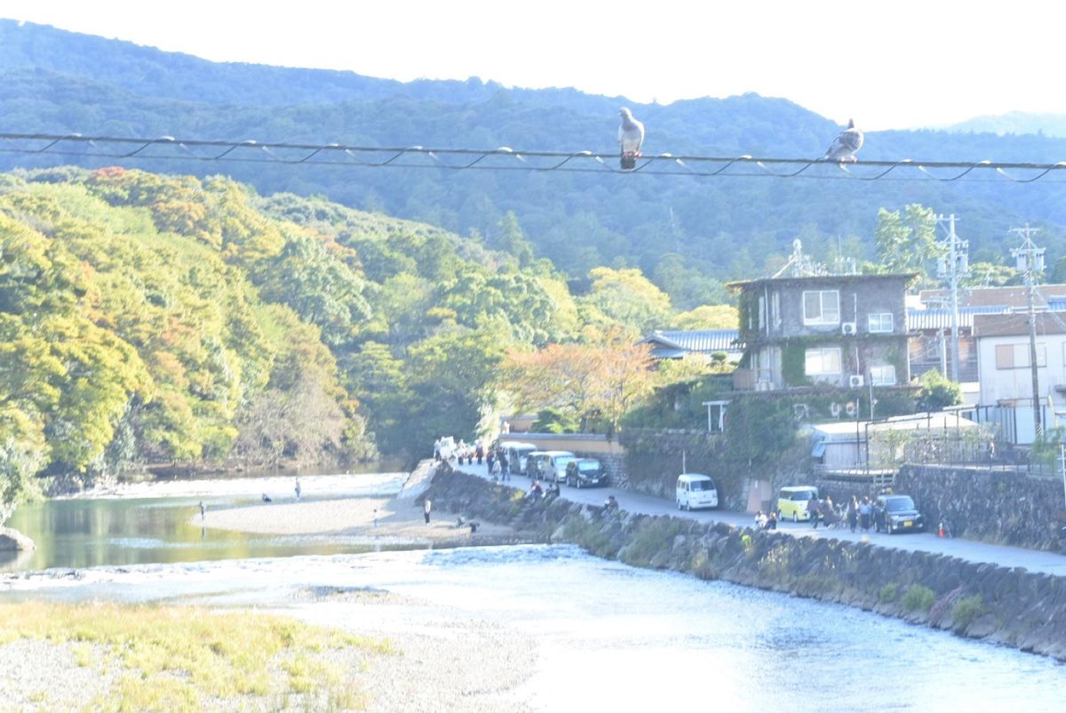 〈day1〉四日市/伊勢
伊勢神宮は少し紅葉も始まっていた