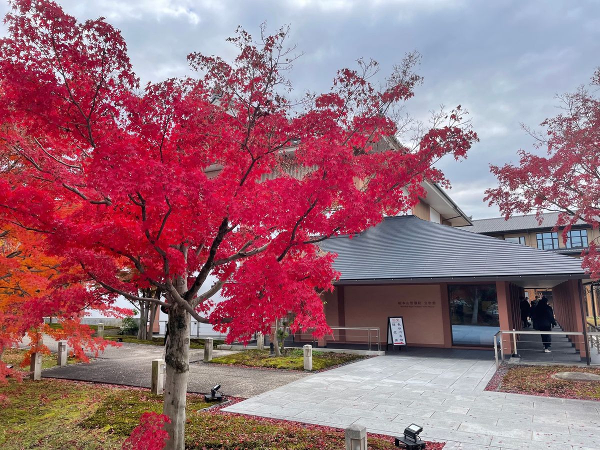 智積院は長谷川等伯の絵画も展示されていました。残念ながら内部は撮影禁止です。