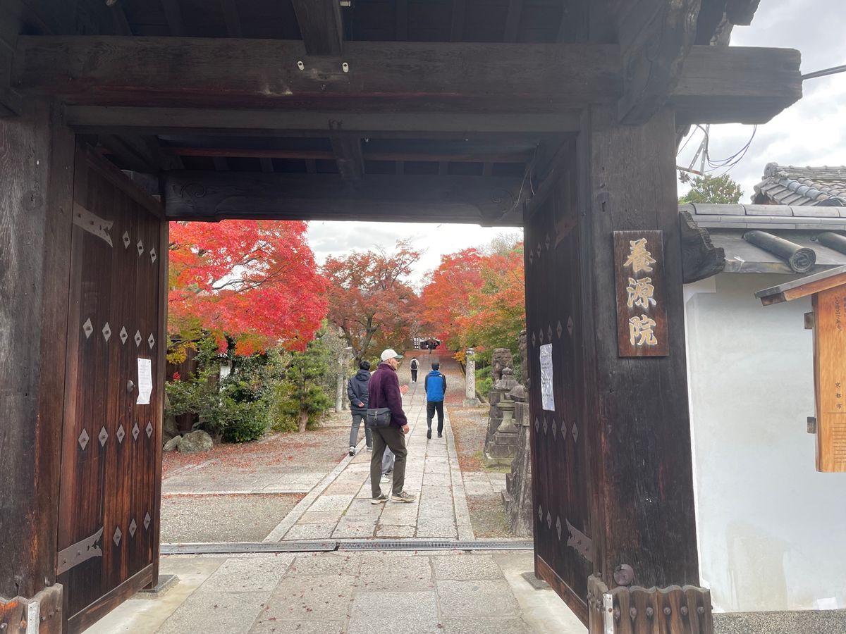 三十三間堂の隣にある養源院へ。ここは豊臣秀吉の側室・淀君が、父浅井長政の為...