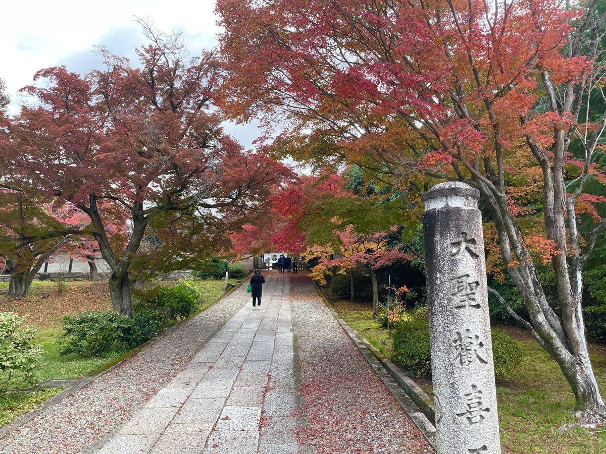三十三間堂の隣にある養源院へ。ここは豊臣秀吉の側室・淀君が、父浅井長政の為...