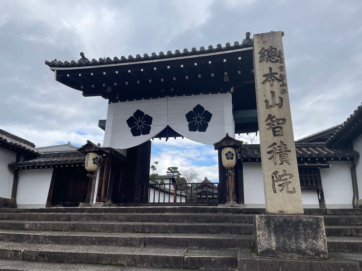 午後からは総本山智積院。こちらの紅葉も美しい。