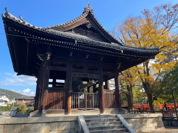 日本・京都府「2025年・京都紅葉」の写真