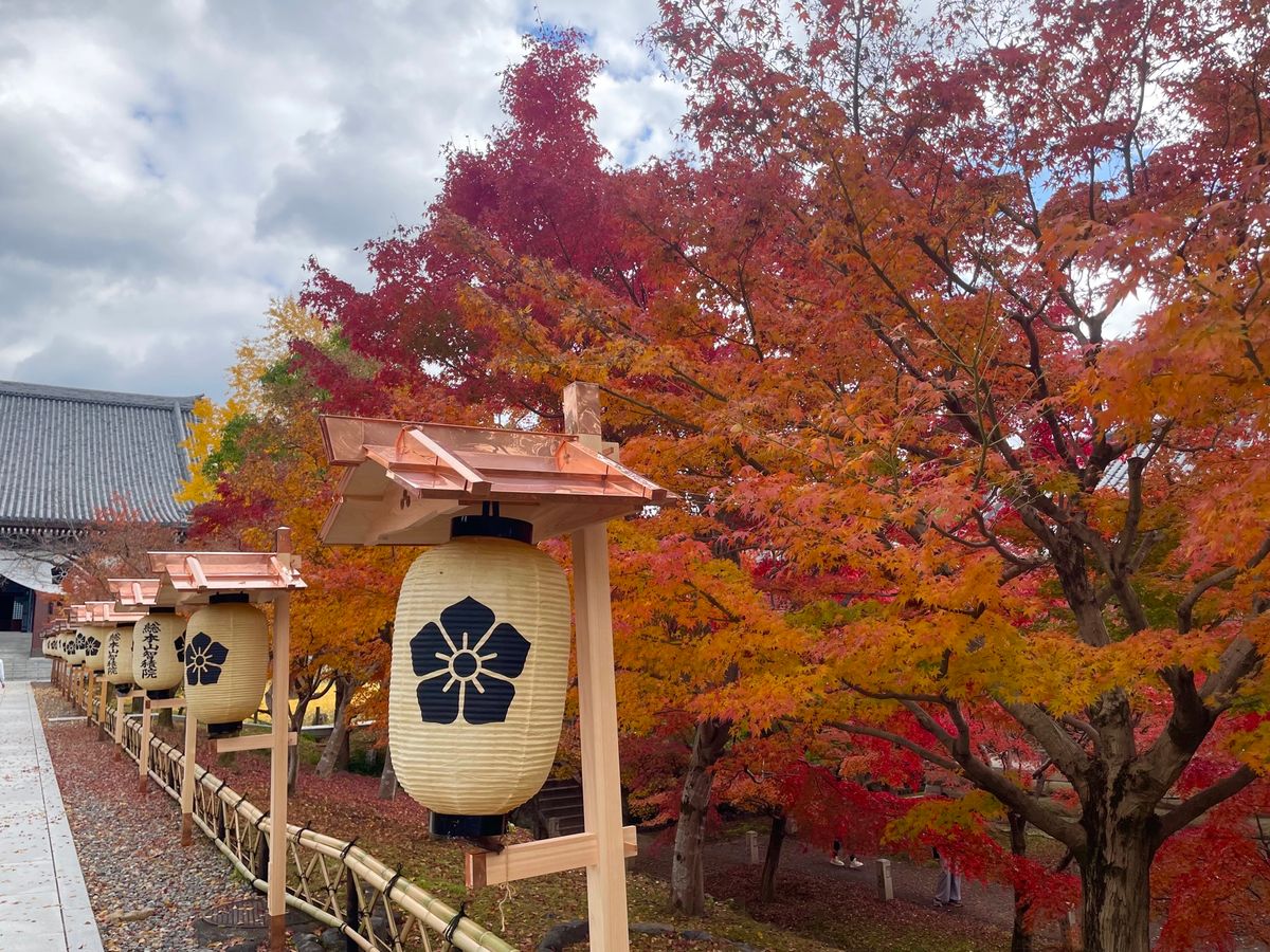 午後からは総本山智積院。こちらの紅葉も美しい。