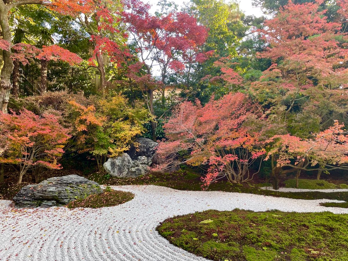 枯山水の庭園の紅葉が素晴らしい。