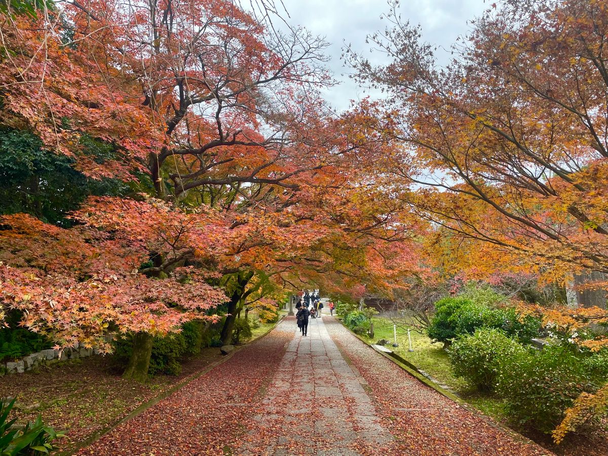 三十三間堂の隣にある養源院へ。ここは豊臣秀吉の側室・淀君が、父浅井長政の為...