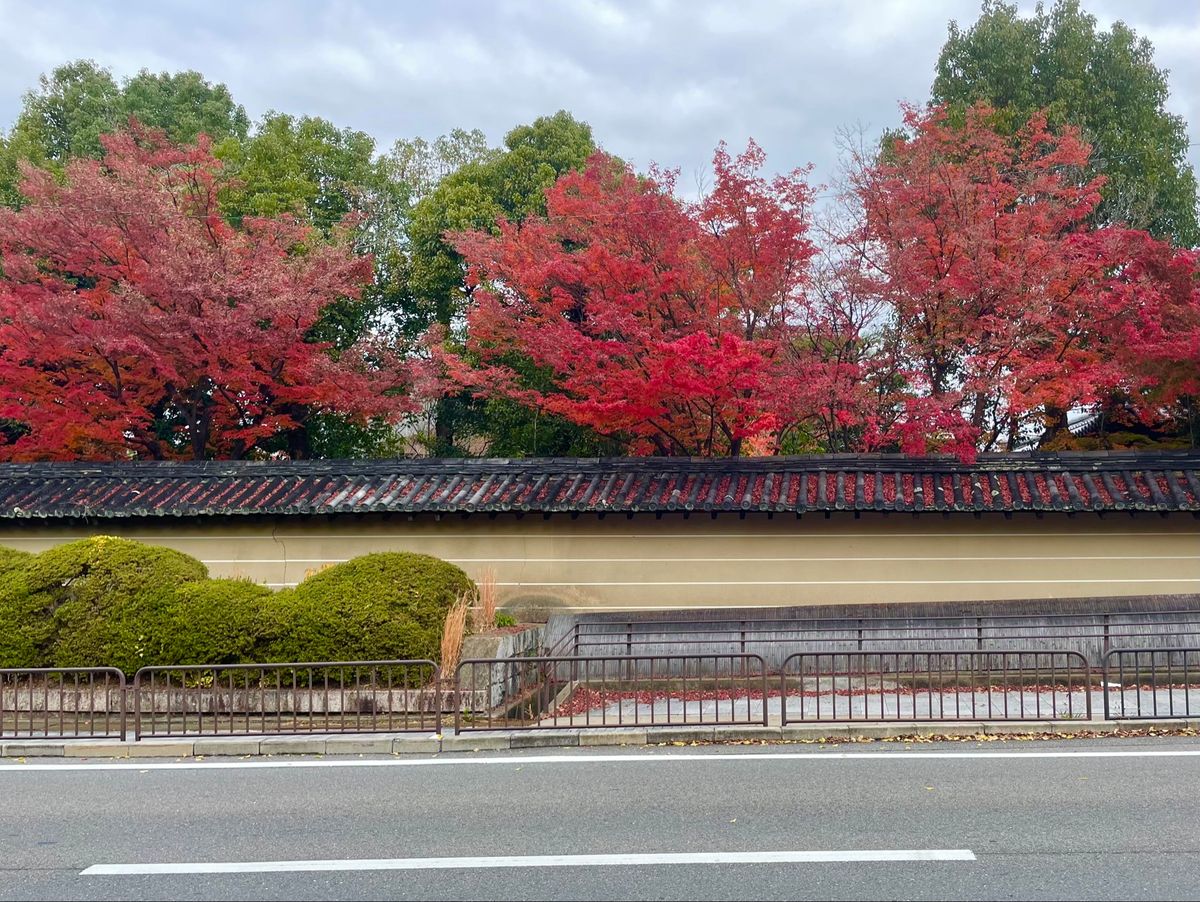 この日のランチは総本山智積院の近くにある老舗のイタリアンレストラン。かぼち...