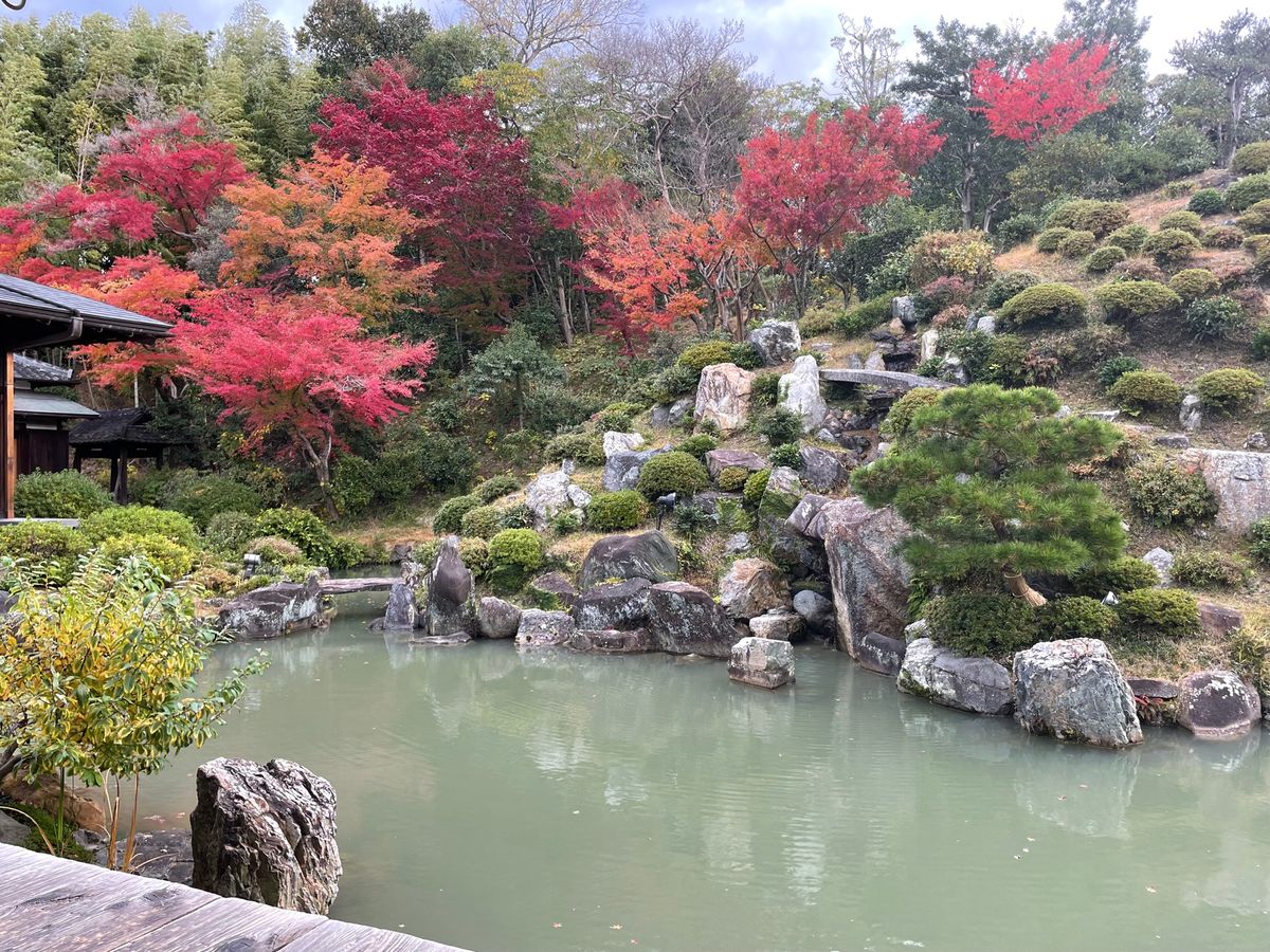 智積院は庭園も見事でした。