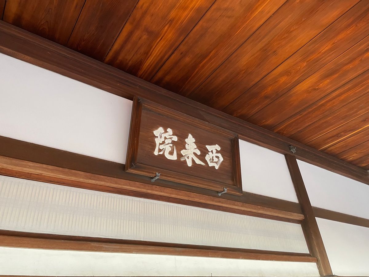 龍の天井画も迫力がありました。