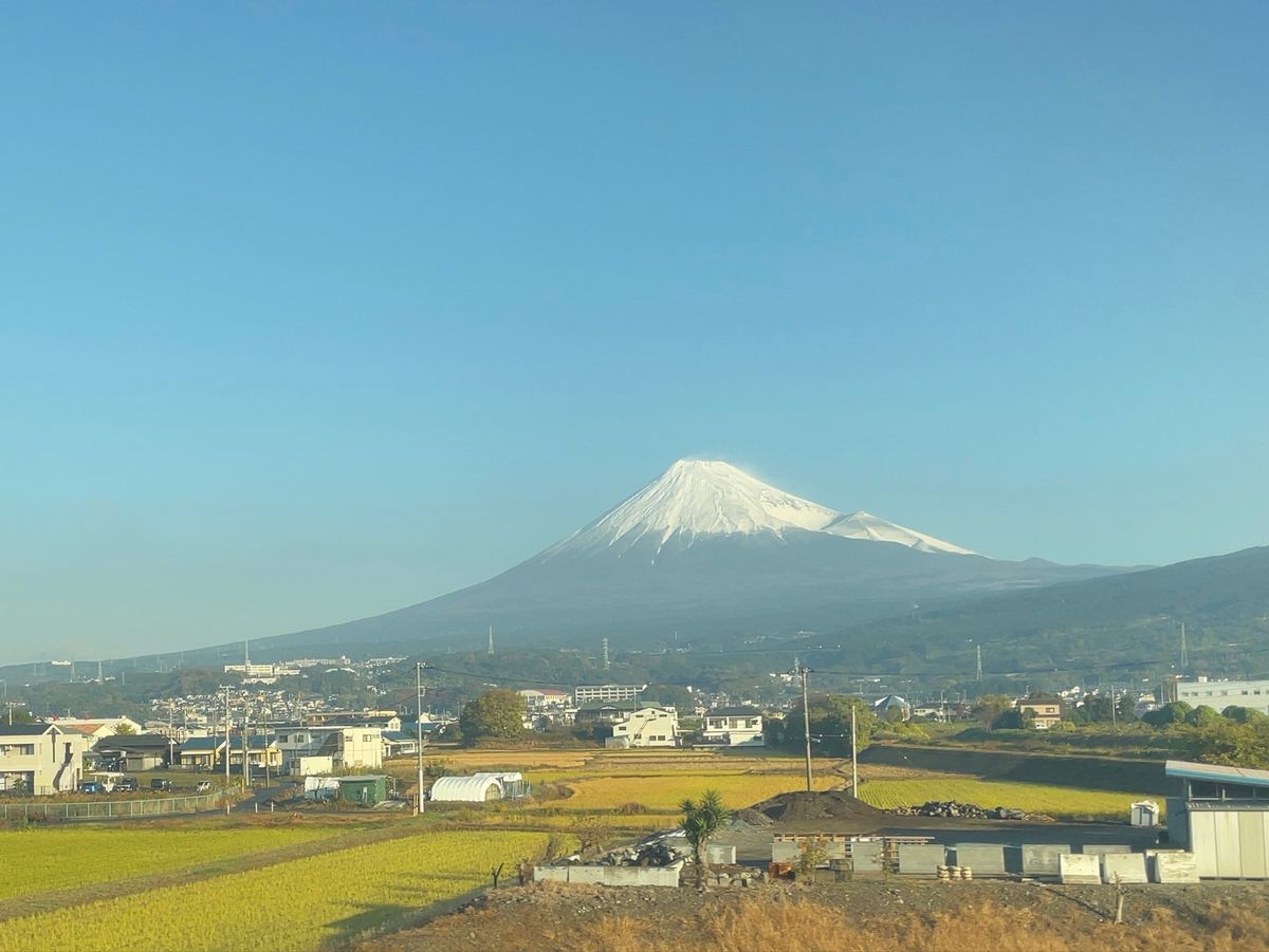 今回は京都へ紅葉狩り。行きの新幹線の車内から富士山が綺麗に見えました。先ず...