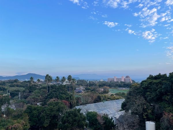 日本・霧島神宮「2025年鹿児島・指宿温泉」の写真：ホテルの部屋からの眺望