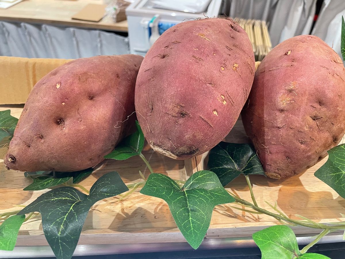 霧島神宮から鹿児島市内へ。オヤツタイムはさつまいもスイーツのお店へ。お芋チ...