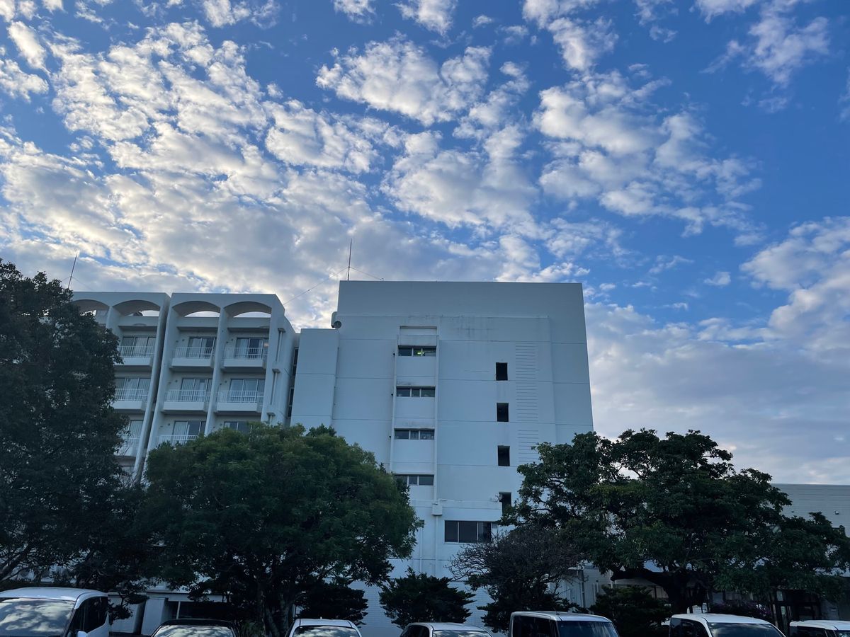 ホテルの部屋からの眺望