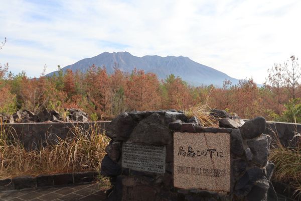 日本・霧島神宮「2025年鹿児島・指宿温泉」の写真