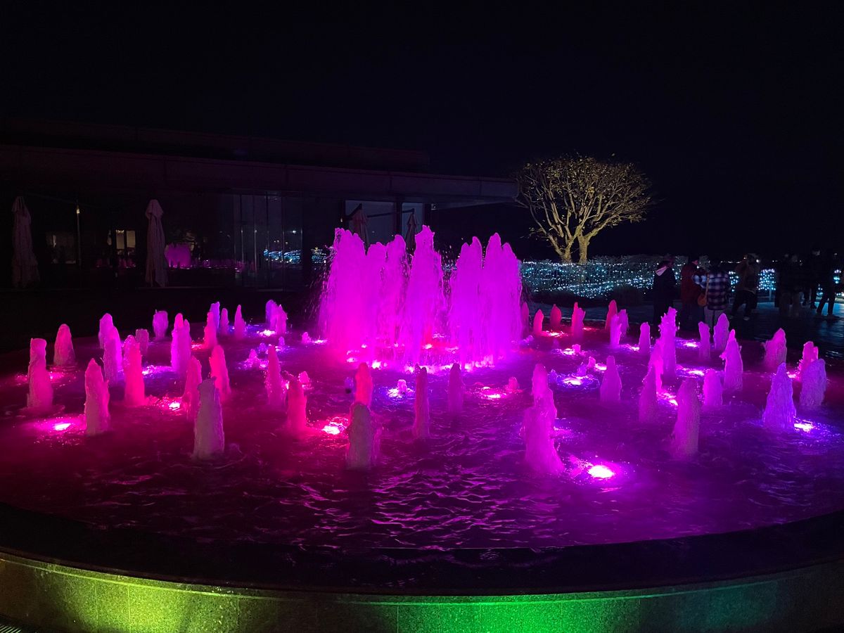 ホテルの庭のイルミネーションも綺麗でした。