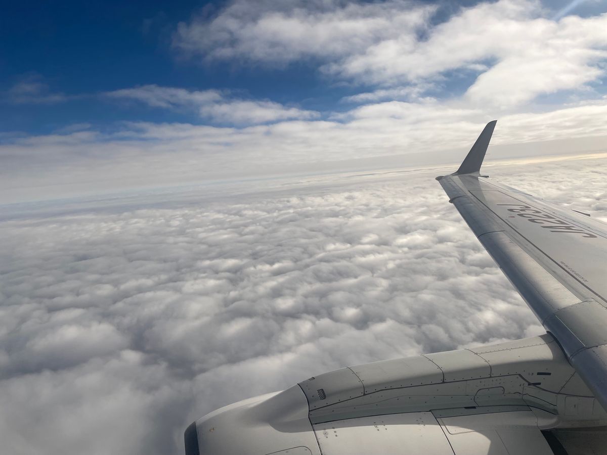帰路、飛行機からも桜島が見えました。