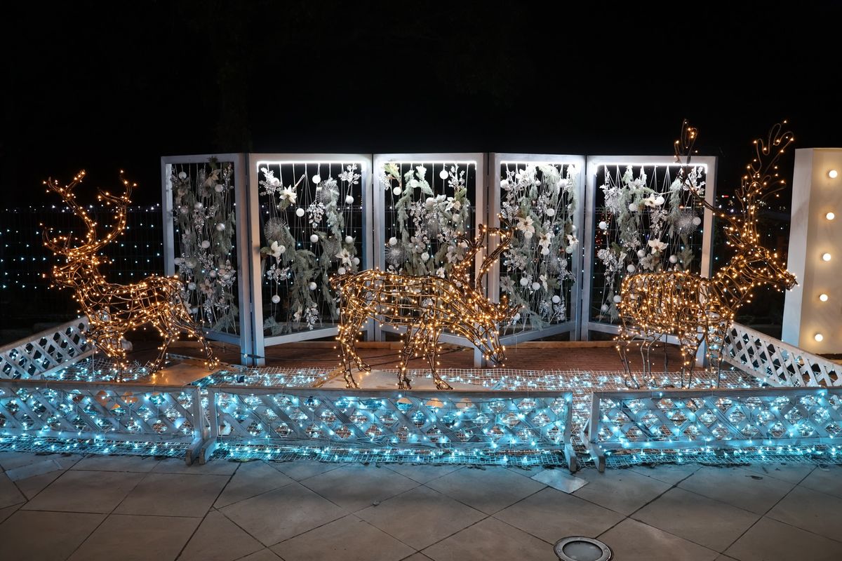 ホテルの庭のイルミネーションも綺麗でした。