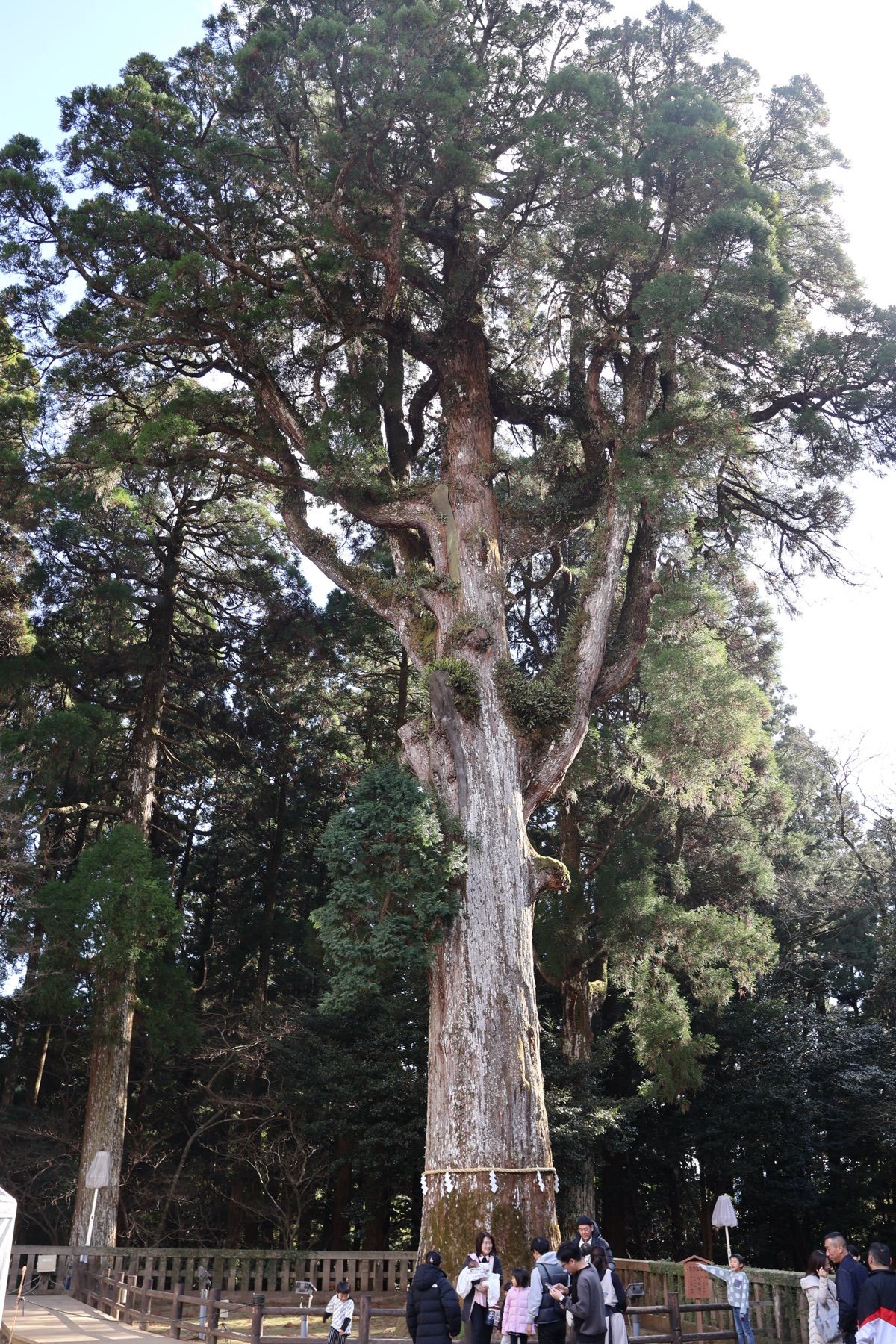 空港でレンタカーを借りて霧島神宮へ。