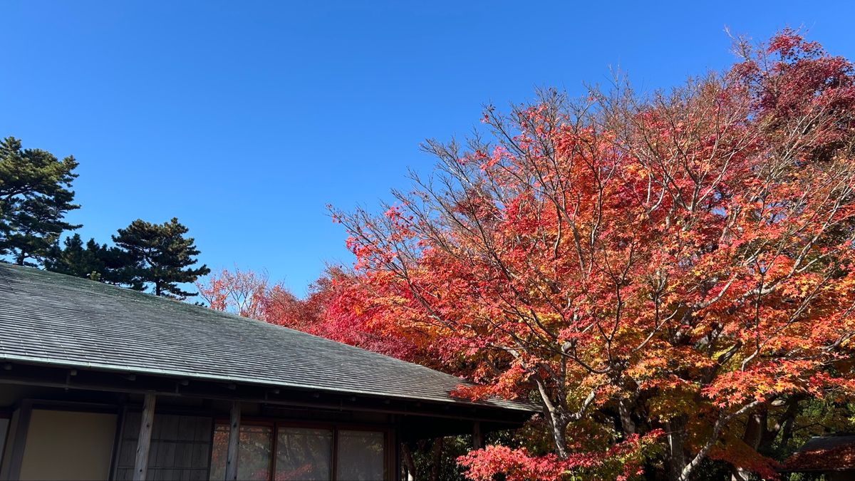 そしてまた秋を🍁