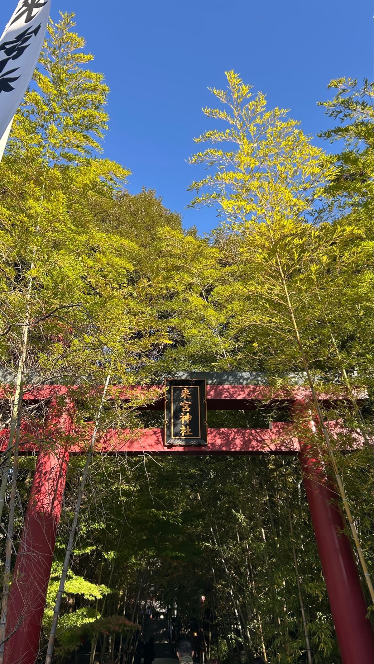 来宮神社へ⛩
貫禄がすごくて大楠の。
一周すると寿命が1年のびるとか、、、...