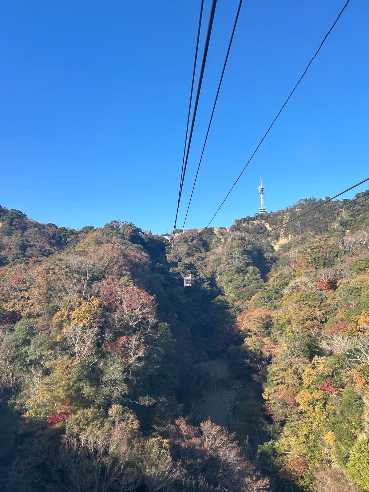 久能山東照宮
日光東照宮は有名だけどそれの基盤となった、久能山東照宮。徳川...