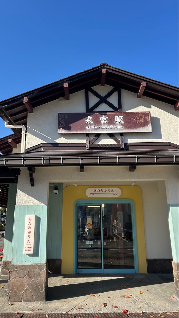 日本・静岡県「綺麗に心まで浄化された旅」の写真：来宮神社へ⛩
貫禄がすごくて大楠の。
一...