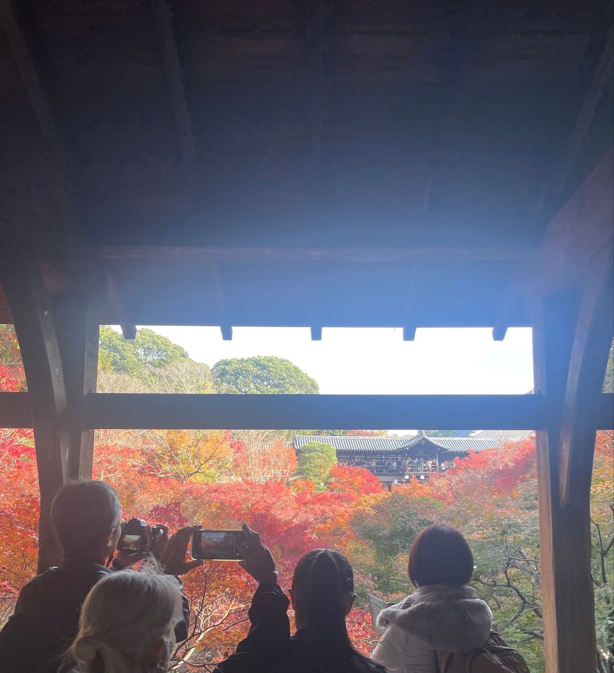 美しい、可愛い、楽しい😀