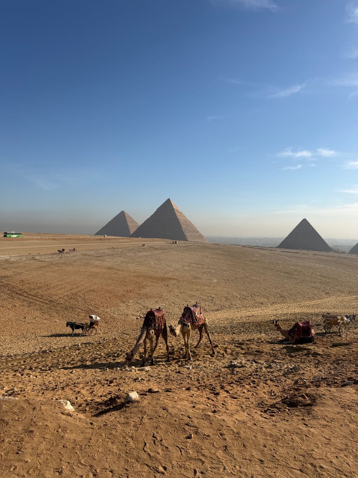 ギザのピラミッド

明るくなってきたところでギザに移動。6年前はピラミッド...