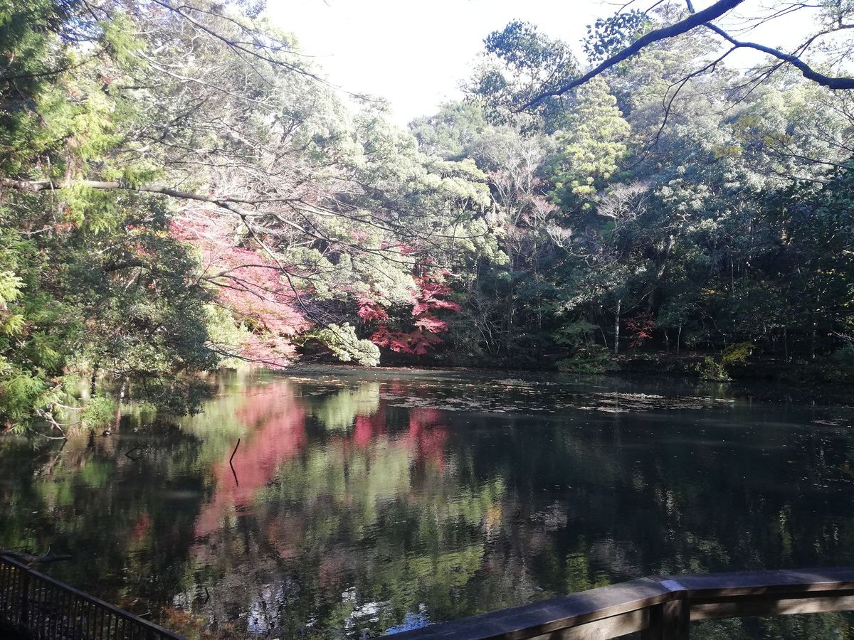 伊勢神宮の内宮参拝。
紅葉がキレイ！🍁