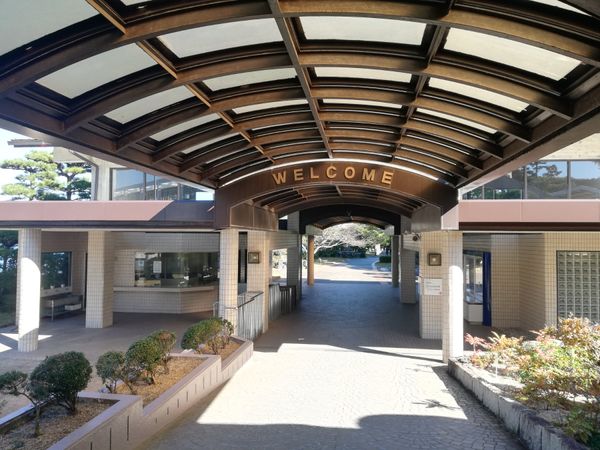 日本・三重県「20251128伊勢志摩満喫旅行(まわりゃんせ利用)」の写真：イルカ島から戻ってきたら、こちらも鳥羽で...