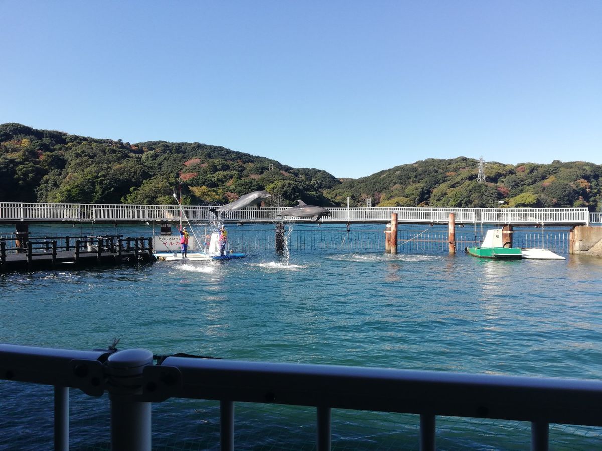 伊勢湾の眺め最高すぎでは……！？
山頂には展望台があり、そこからぐるり一面...