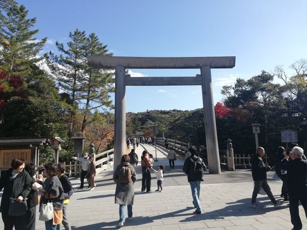 日本・三重県「20251128伊勢志摩満喫旅行(まわりゃんせ利用)」の写真：伊勢神宮の内宮参拝。
紅葉がキレイ！🍁