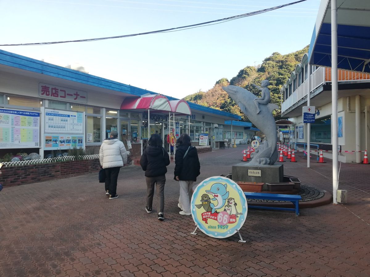 イルカ島は島なだけあってそれなりに高い山になってます。
頂上まではロープウ...