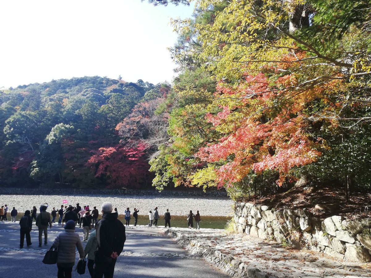伊勢神宮の内宮参拝。
紅葉がキレイ！🍁