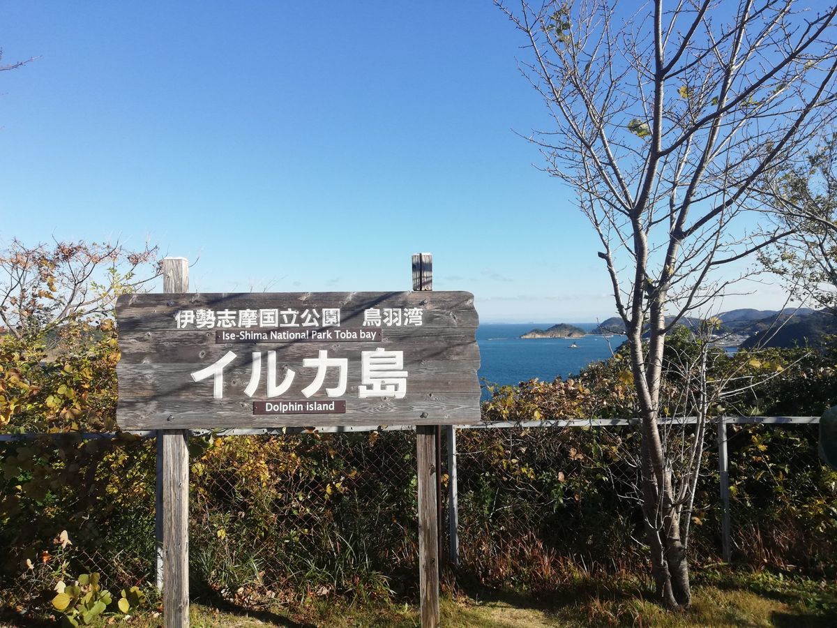 イルカ島は島なだけあってそれなりに高い山になってます。
頂上まではロープウ...