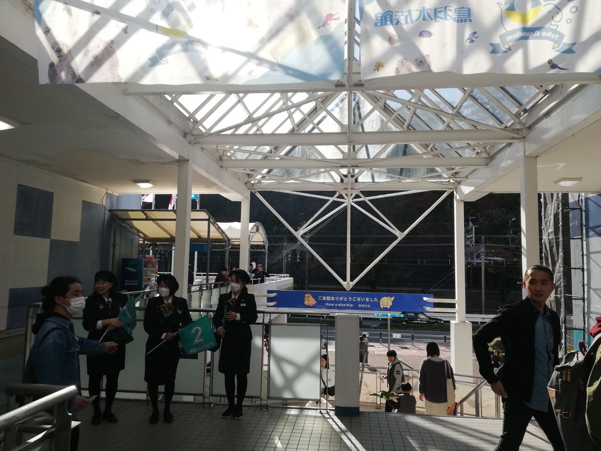 鳥羽に来たらここを見ないで帰れませんよ！
日本の水族館の中で間違いなく3本...