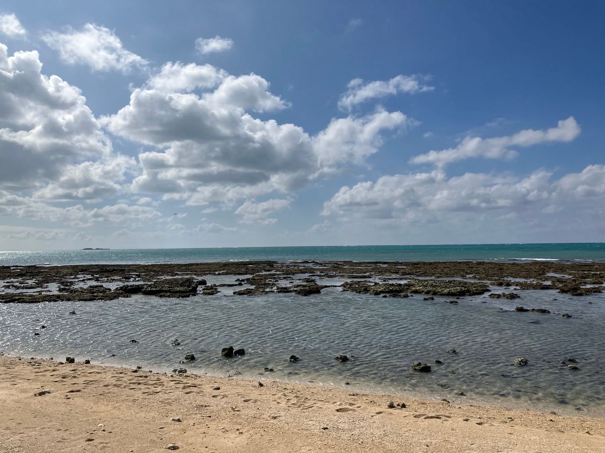 瀬長島は海で遊ぶことができます。
航空機の航路近くなので、離着陸がよく見えます。