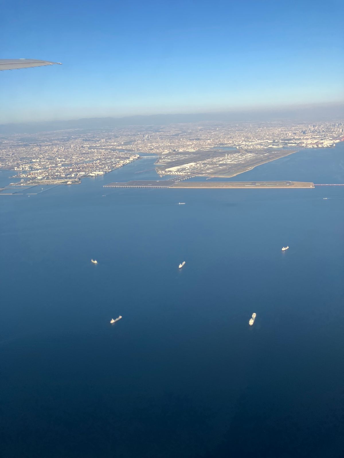 今回も羽田から青組。