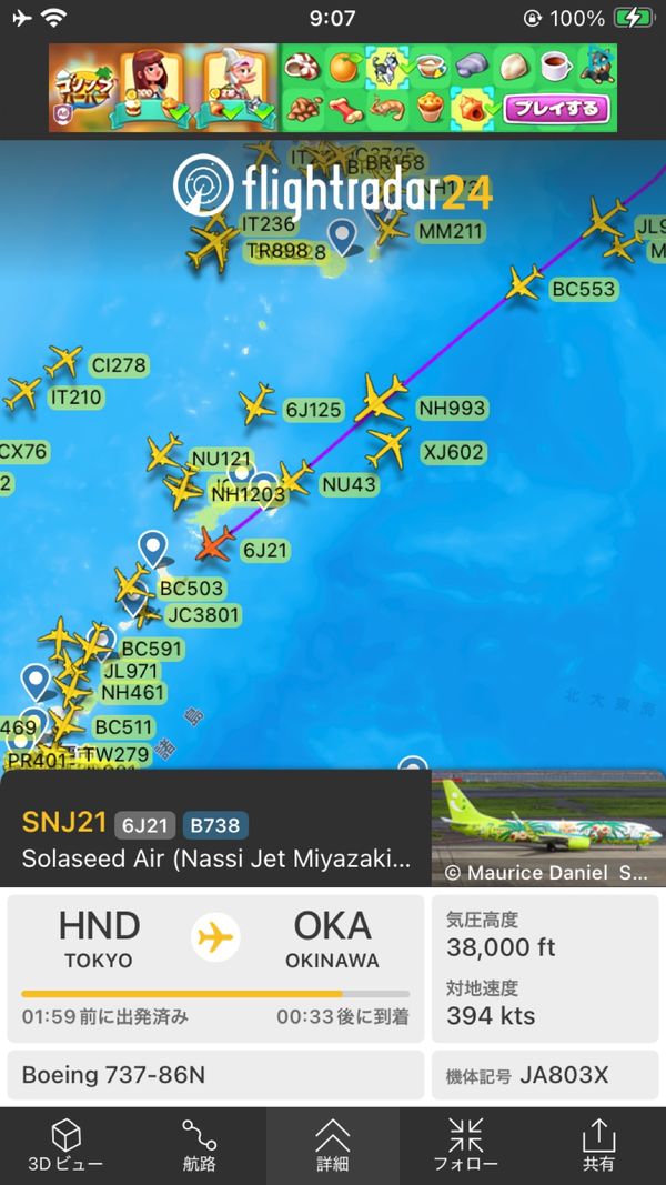 日本・沖縄県「沖縄旅行3回目」の写真：カルガモ飛行