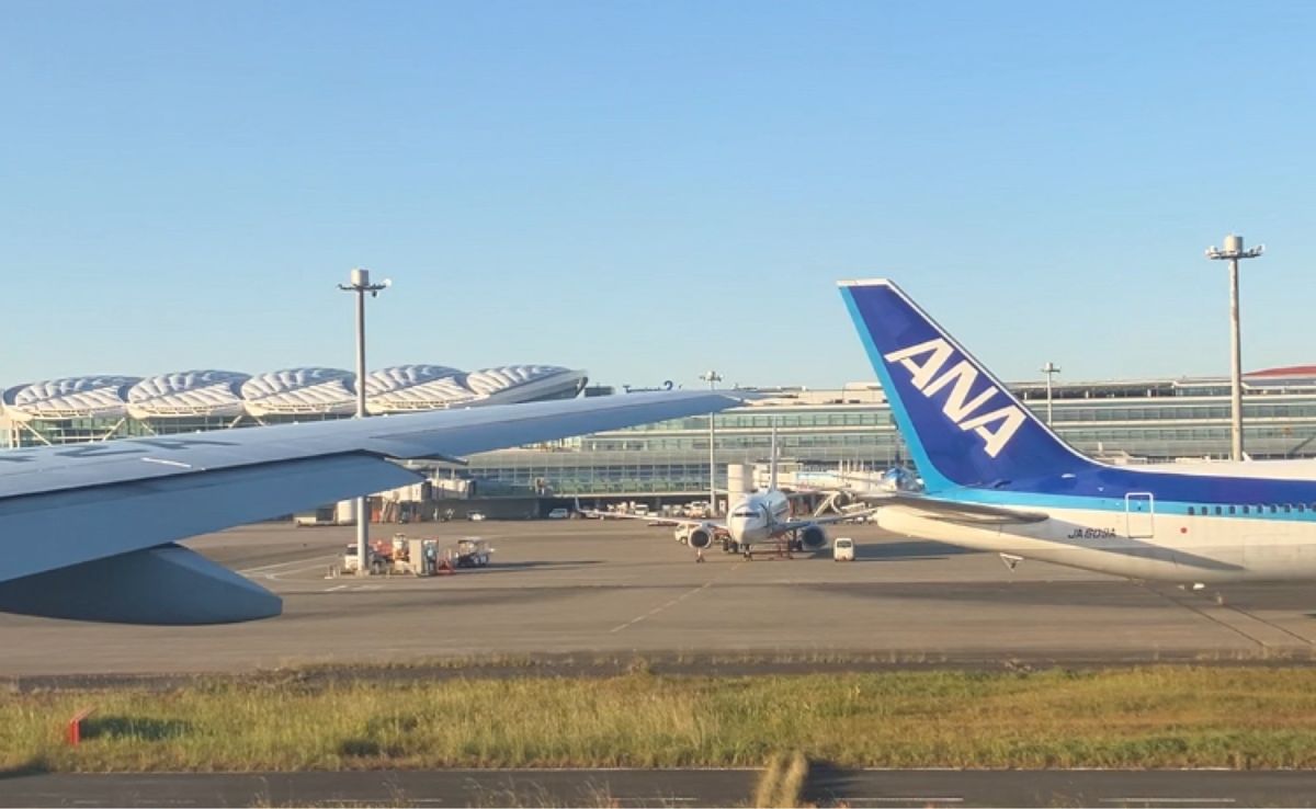 今回も羽田から青組。