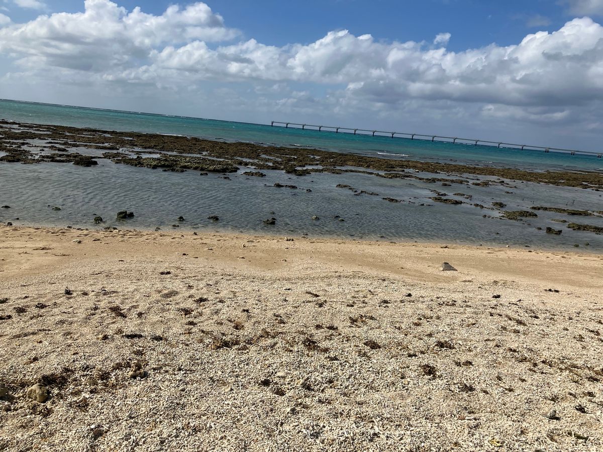 瀬長島は海で遊ぶことができます。
航空機の航路近くなので、離着陸がよく見えます。
