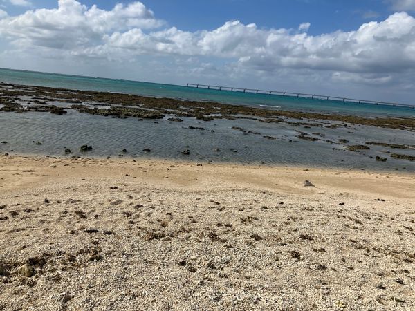 日本・沖縄県「沖縄旅行3回目」の写真：瀬長島は海で遊ぶことができます。
航空機...