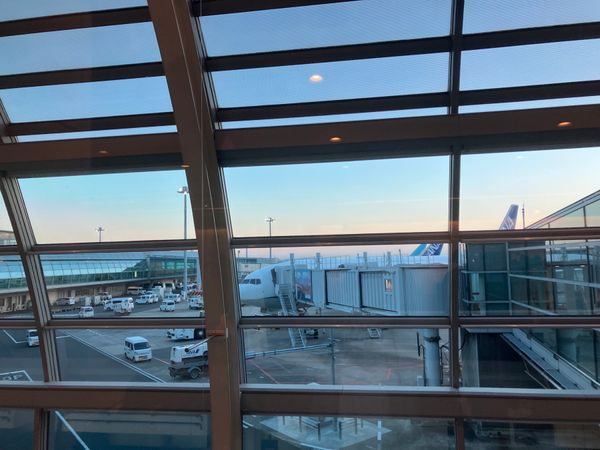 日本・沖縄県「沖縄旅行3回目」の写真：今回も羽田から青組。