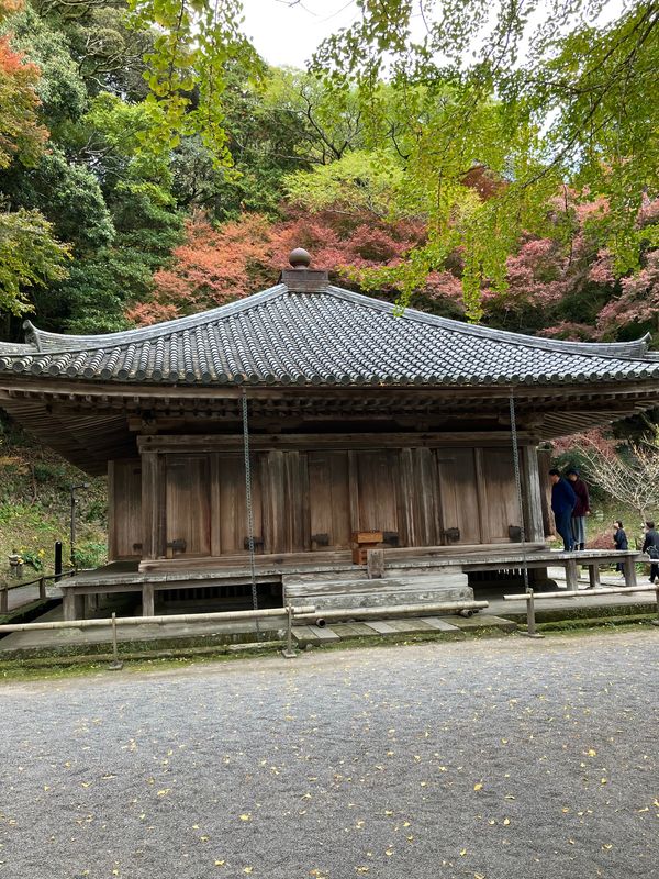 日本・大分県「2025大分旅行」の写真：富貴寺大堂①