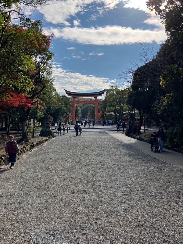 日本・大分県「2025大分旅行」の写真：宇佐八幡宮①