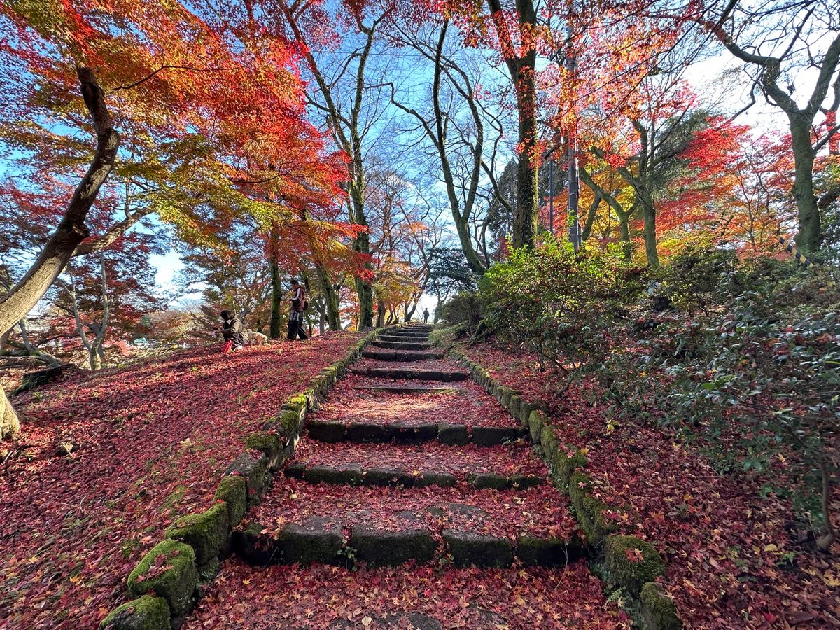 七尾市、氷見市、高岡市
ホタルイカ、のどぐろ、白エビの寿司と氷見うどん
高...