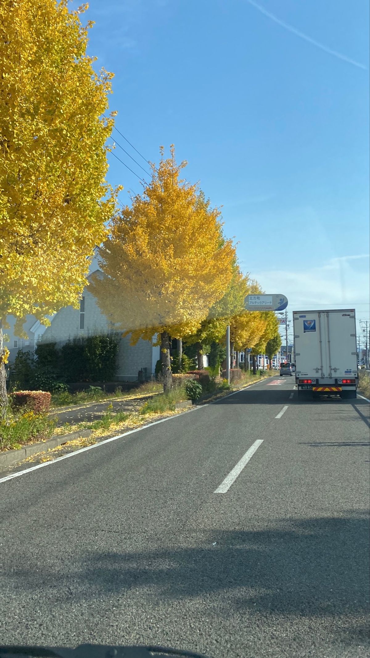 黄金神社へ行く道中で綺麗な紅葉🤩
最高でした。